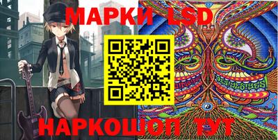 PSILOCYBIN Брянск