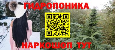 PSILOCYBIN Брянск
