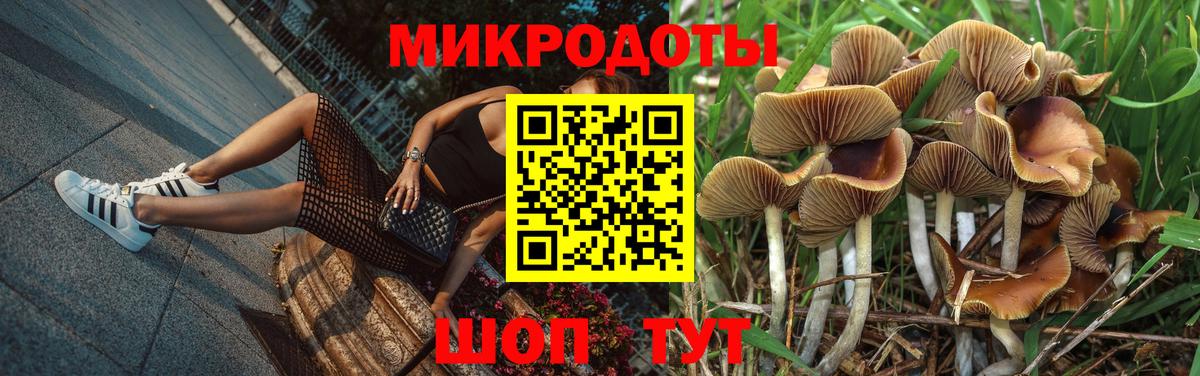 купить наркоту  Псилоцибиновые грибы мицелий  Вход с VPN  Малгобек 